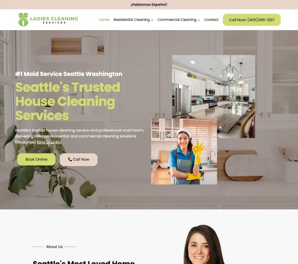ladiescleaning-scr A cleaning website