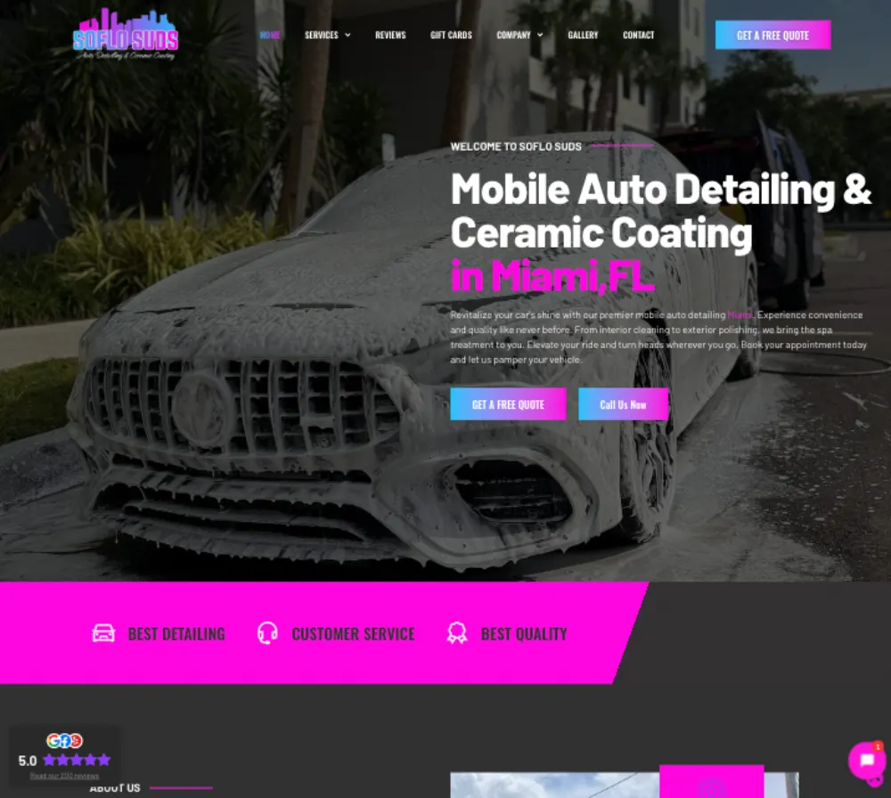 soflosuds a car detailing website